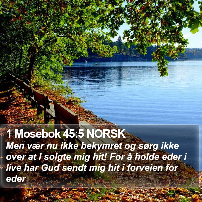 1 Mosebok 45:5 NORSK Bible Study