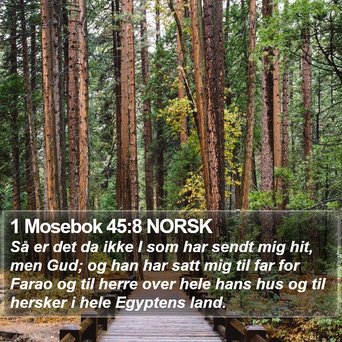 1 Mosebok 45:8 NORSK Bible Study