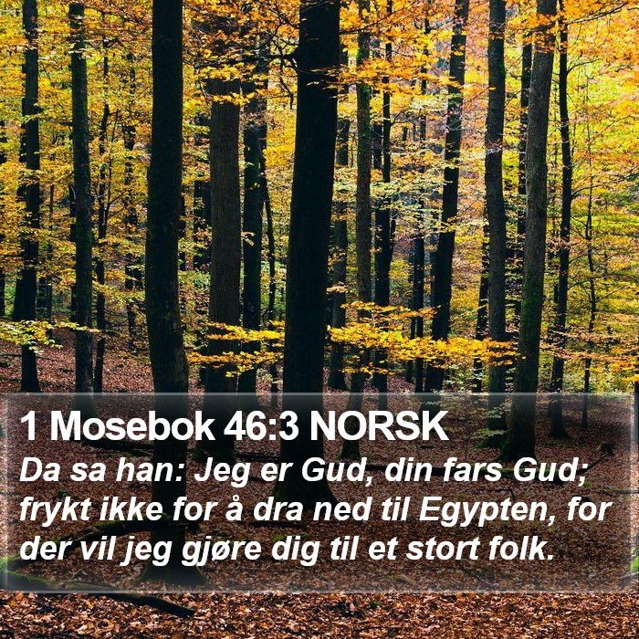 1 Mosebok 46:3 NORSK Bible Study