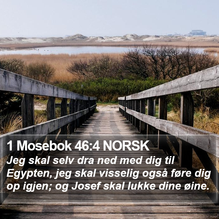 1 Mosebok 46:4 NORSK Bible Study