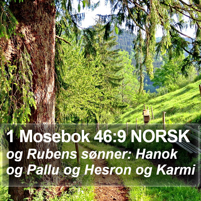 1 Mosebok 46:9 NORSK Bible Study