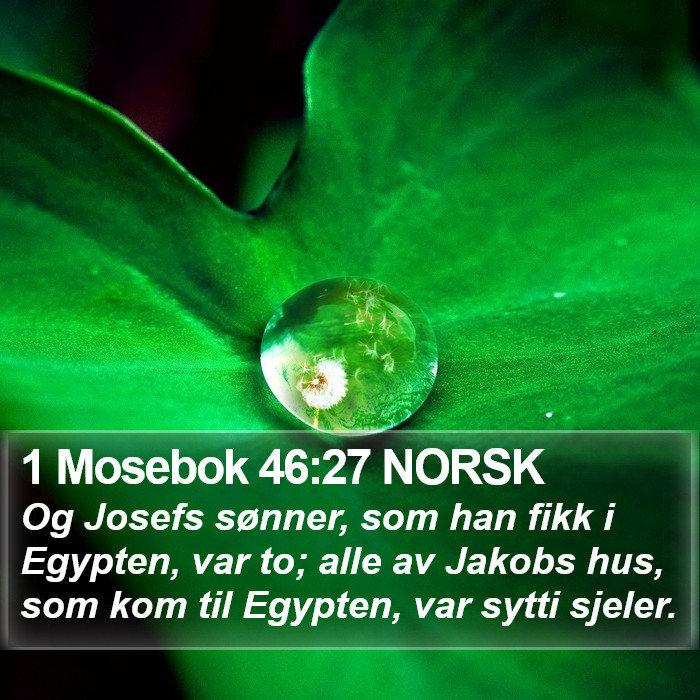 1 Mosebok 46:27 NORSK Bible Study