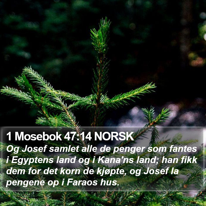 1 Mosebok 47:14 NORSK Bible Study