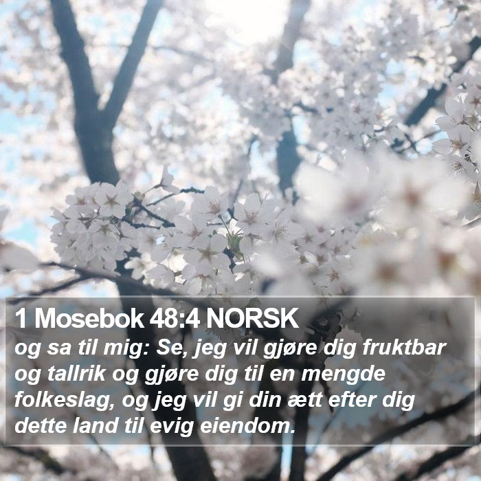 1 Mosebok 48:4 NORSK Bible Study