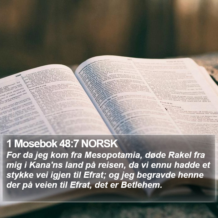 1 Mosebok 48:7 NORSK Bible Study