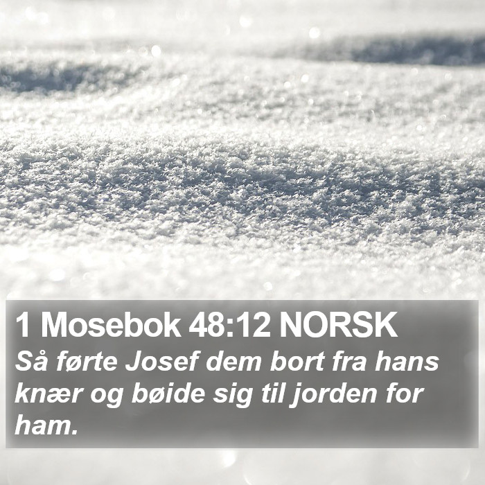 1 Mosebok 48:12 NORSK Bible Study