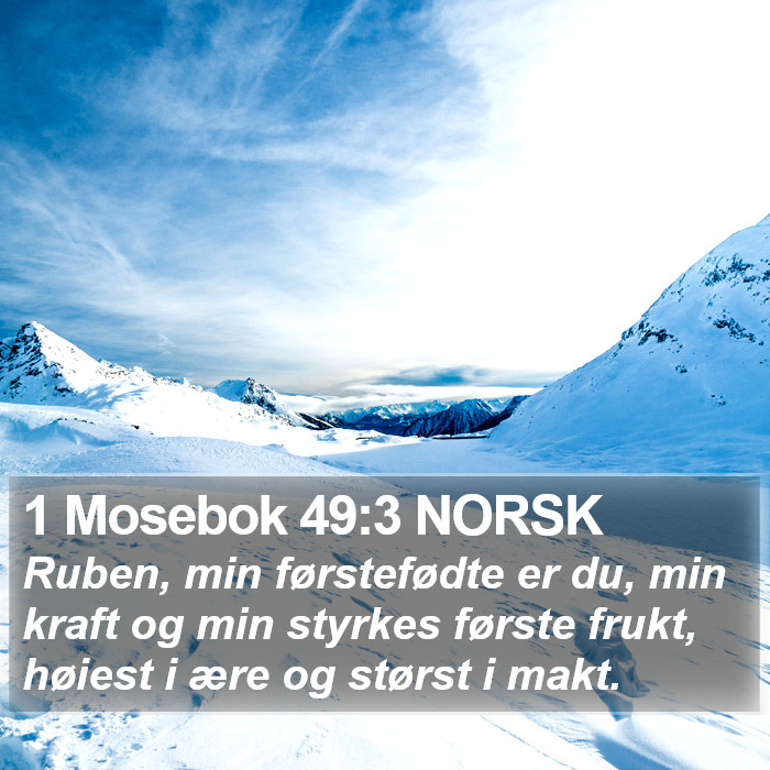 1 Mosebok 49:3 NORSK Bible Study