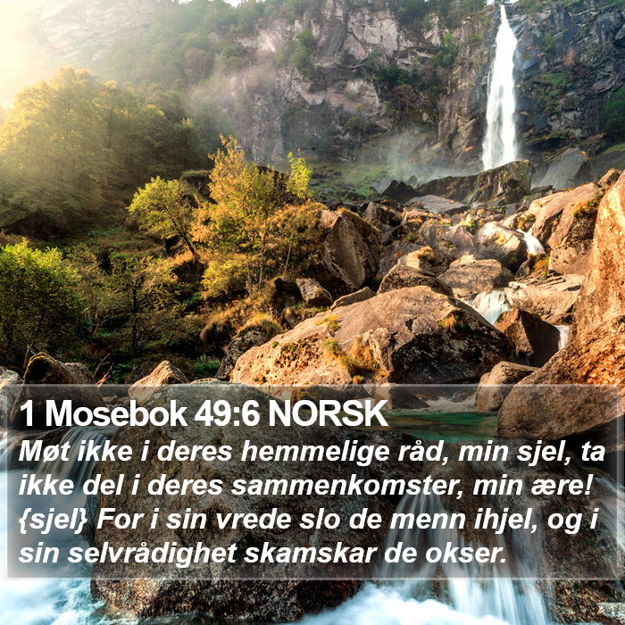 1 Mosebok 49:6 NORSK Bible Study