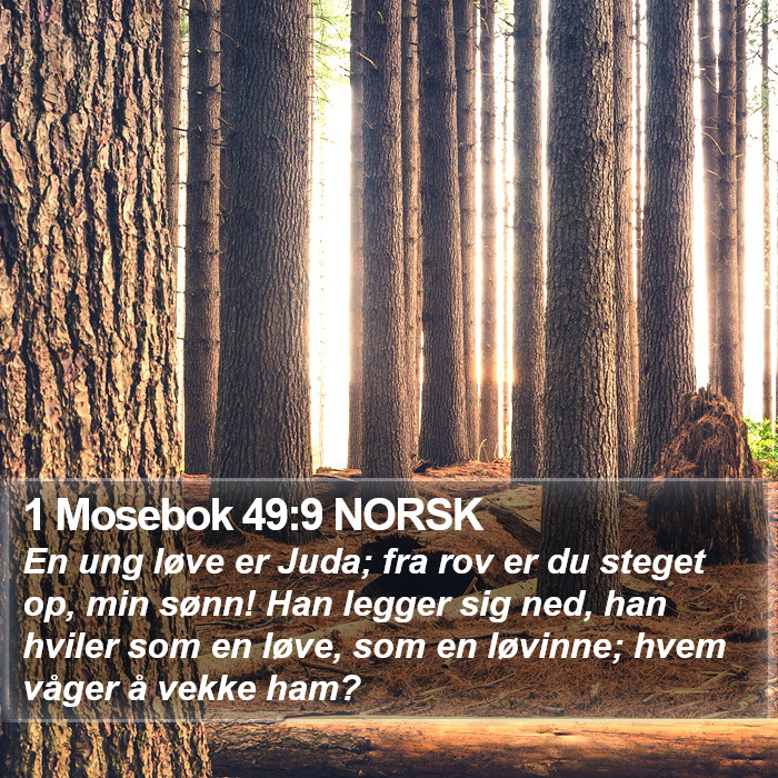 1 Mosebok 49:9 NORSK Bible Study