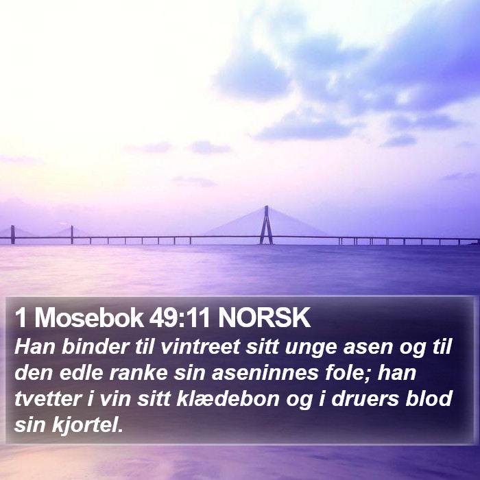 1 Mosebok 49:11 NORSK Bible Study