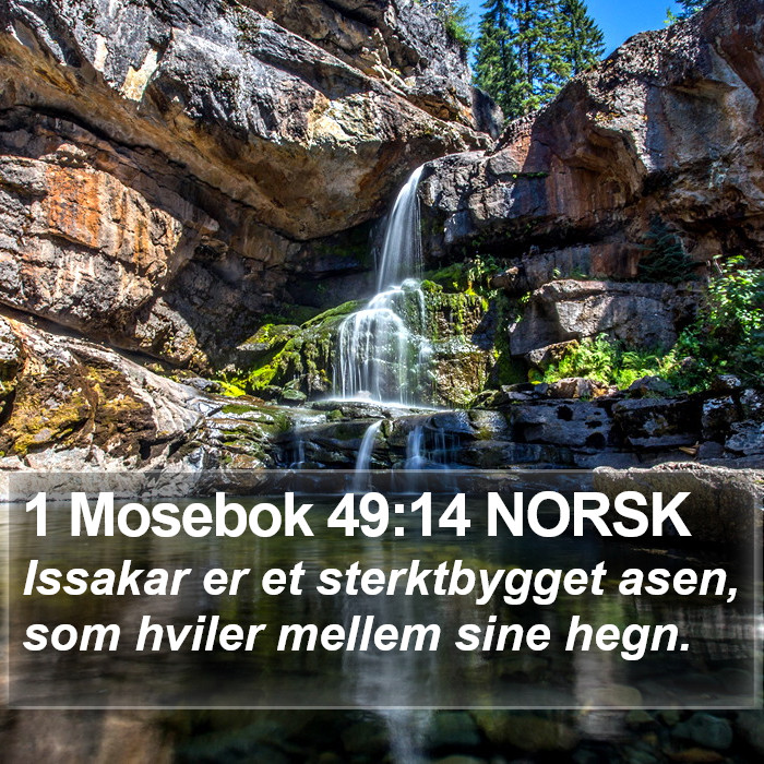 1 Mosebok 49:14 NORSK Bible Study