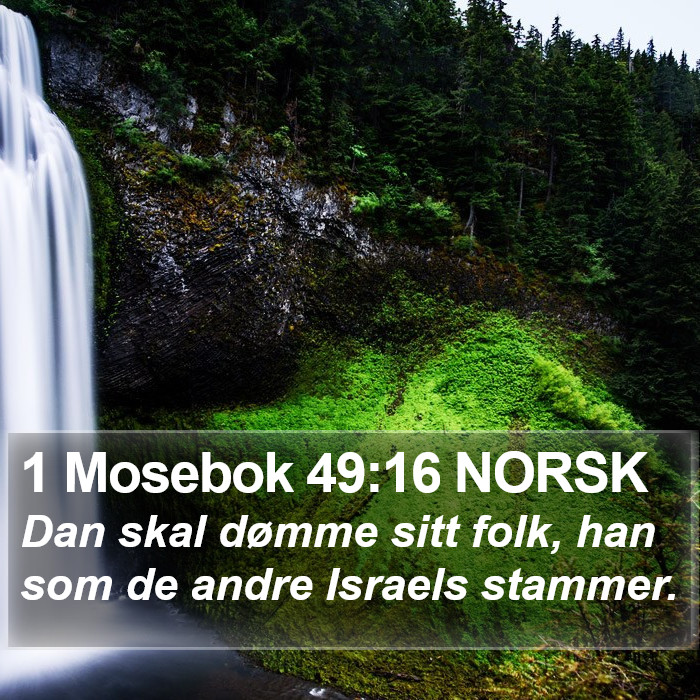 1 Mosebok 49:16 NORSK Bible Study