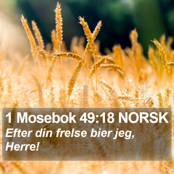 1 Mosebok 49:18 NORSK Bible Study