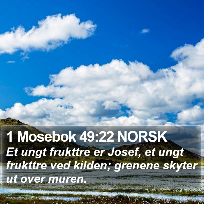 1 Mosebok 49:22 NORSK Bible Study