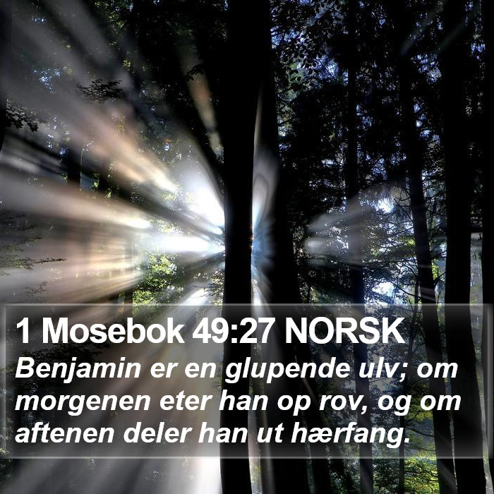 1 Mosebok 49:27 NORSK Bible Study