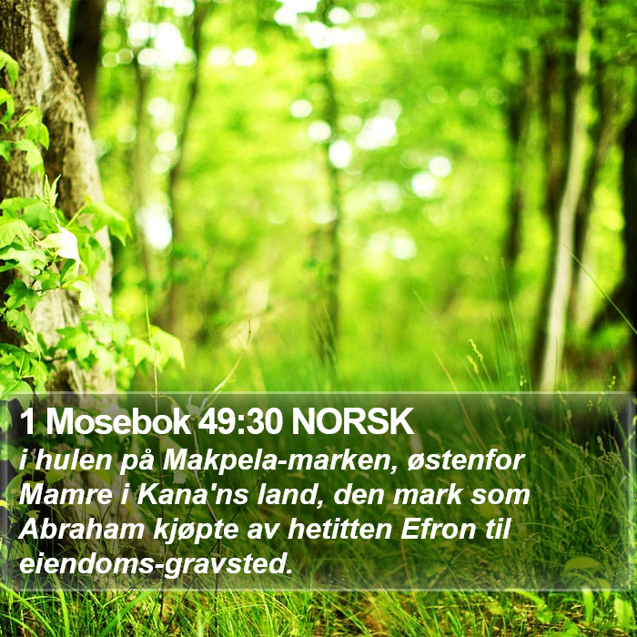 1 Mosebok 49:30 NORSK Bible Study