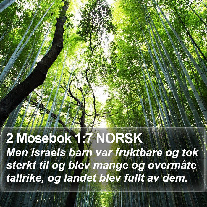 2 Mosebok 1:7 NORSK Bible Study