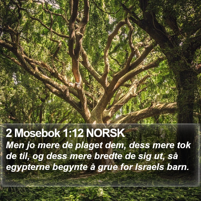 2 Mosebok 1:12 NORSK Bible Study