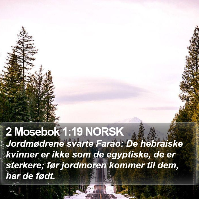 2 Mosebok 1:19 NORSK Bible Study