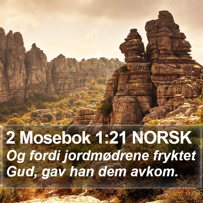 2 Mosebok 1:21 NORSK Bible Study