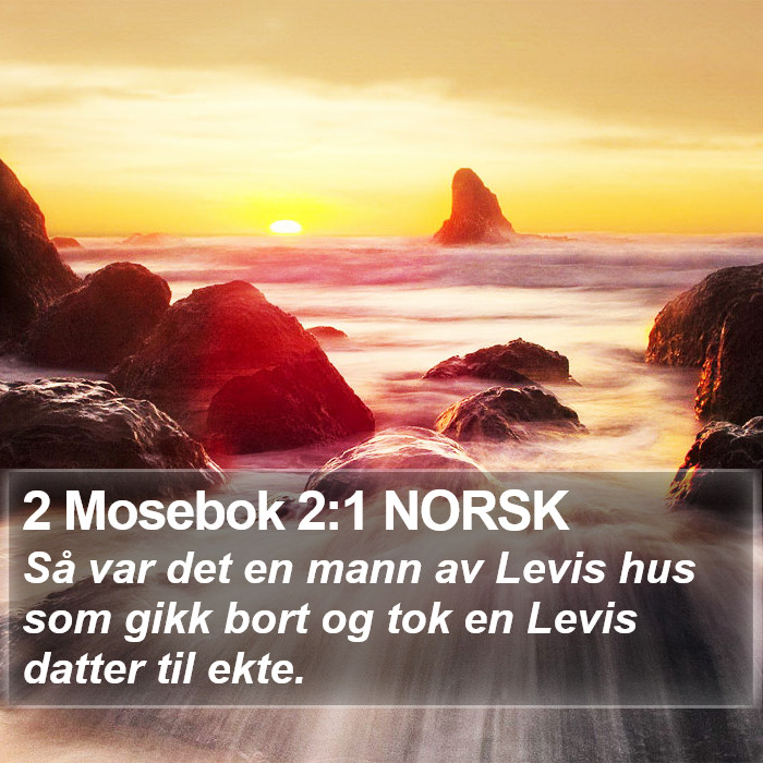 2 Mosebok 2:1 NORSK Bible Study