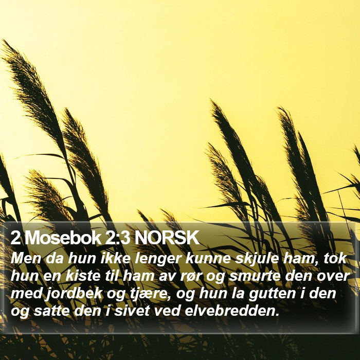 2 Mosebok 2:3 NORSK Bible Study