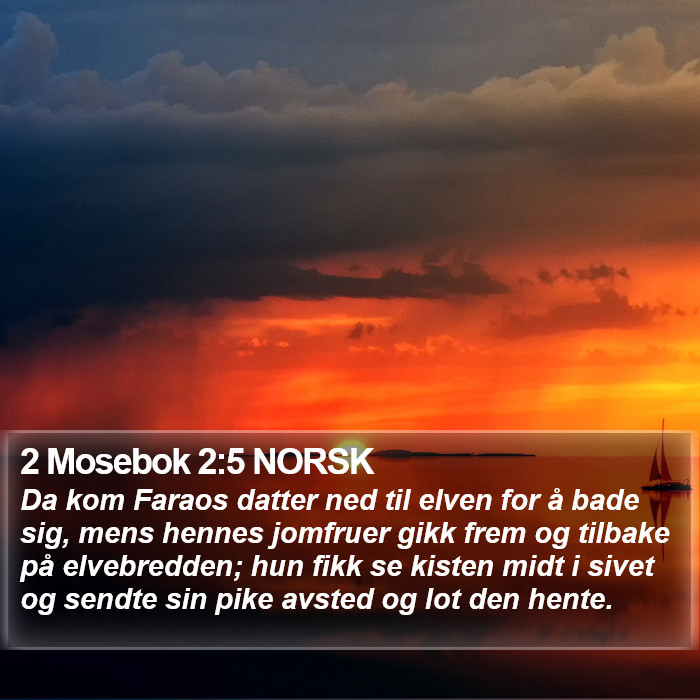 2 Mosebok 2:5 NORSK Bible Study