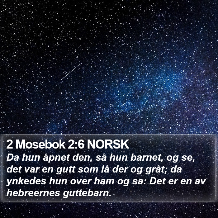 2 Mosebok 2:6 NORSK Bible Study