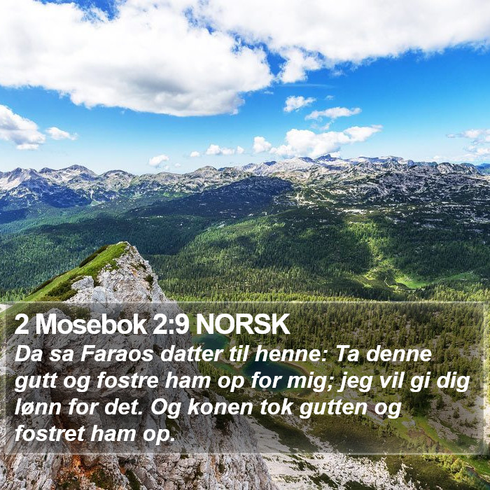 2 Mosebok 2:9 NORSK Bible Study