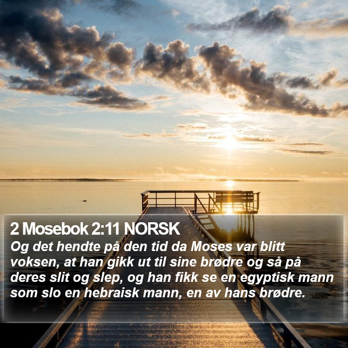 2 Mosebok 2:11 NORSK Bible Study