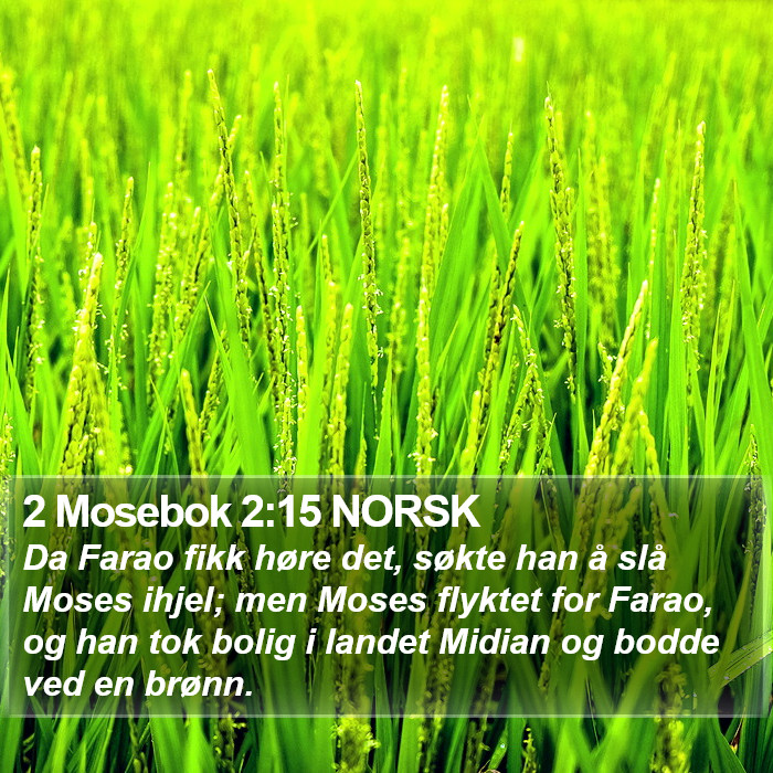 2 Mosebok 2:15 NORSK Bible Study