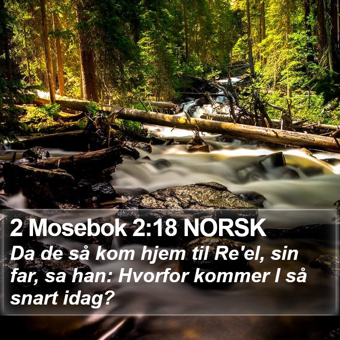 2 Mosebok 2:18 NORSK Bible Study