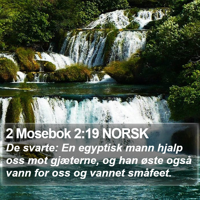 2 Mosebok 2:19 NORSK Bible Study