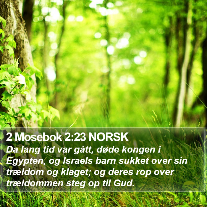 2 Mosebok 2:23 NORSK Bible Study