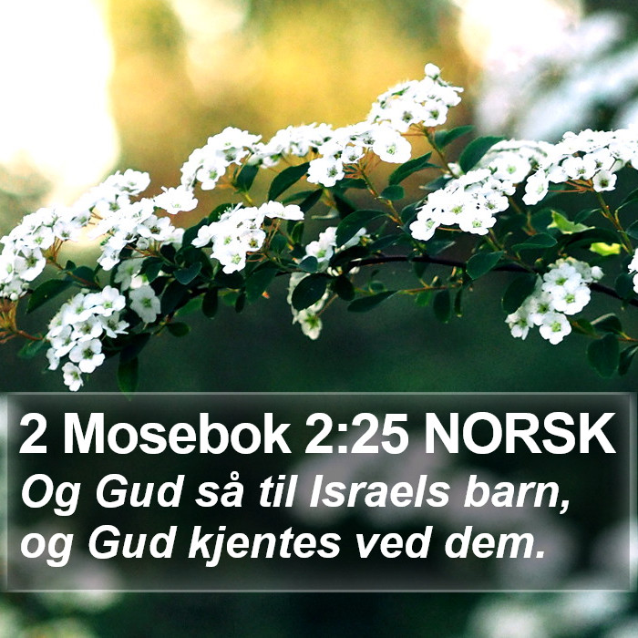 2 Mosebok 2:25 NORSK Bible Study