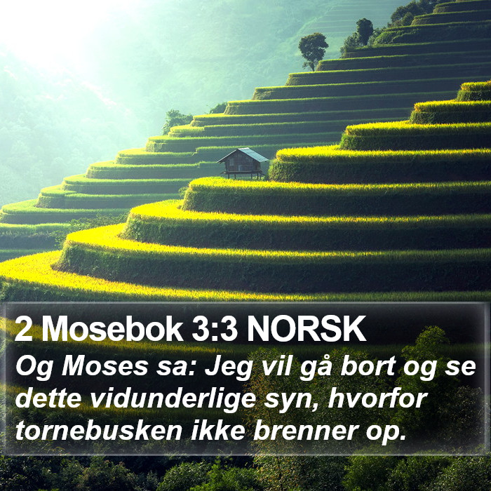2 Mosebok 3:3 NORSK Bible Study