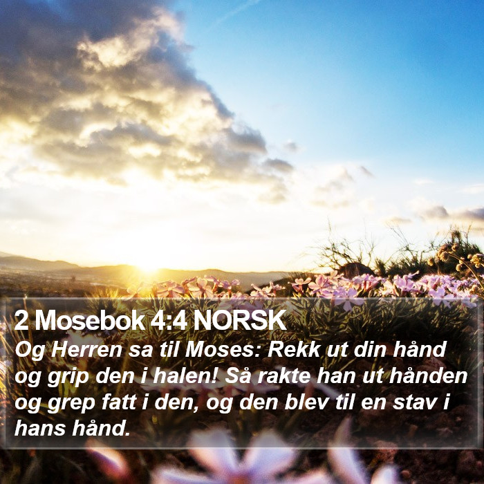 2 Mosebok 4:4 NORSK Bible Study