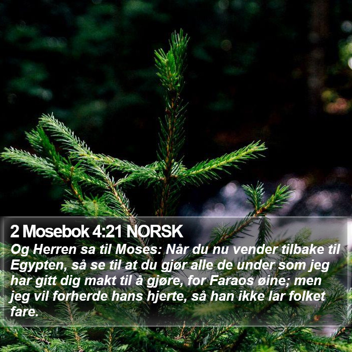 2 Mosebok 4:21 NORSK Bible Study