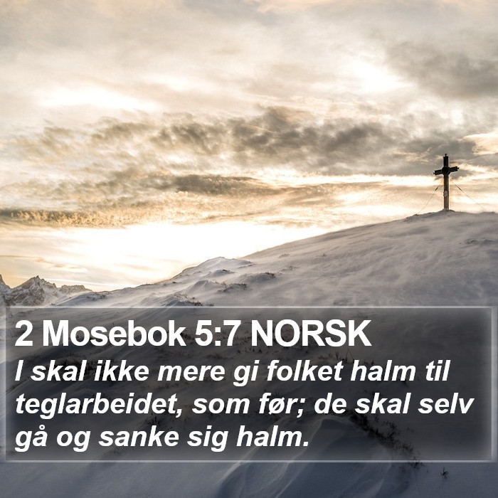 2 Mosebok 5:7 NORSK Bible Study