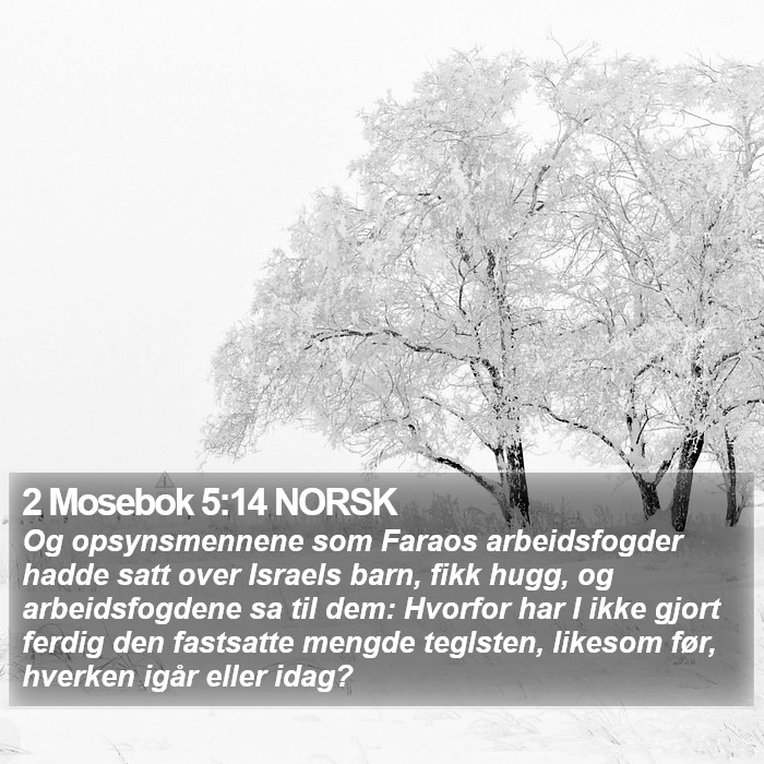 2 Mosebok 5:14 NORSK Bible Study