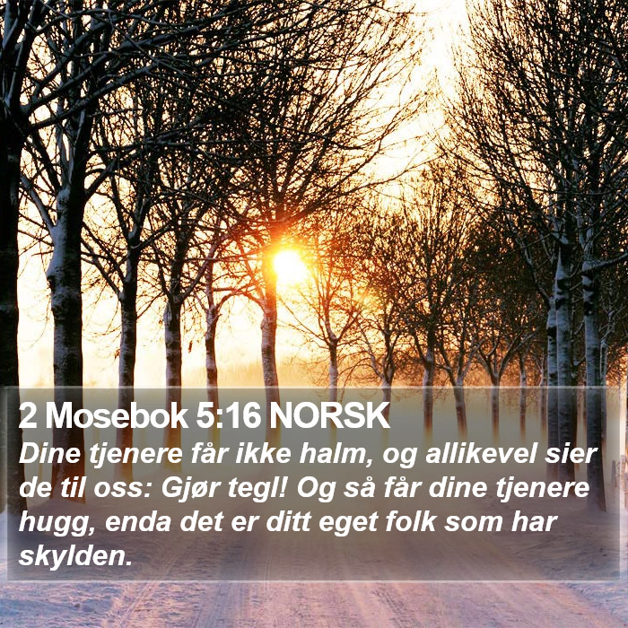 2 Mosebok 5:16 NORSK Bible Study