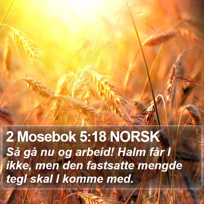 2 Mosebok 5:18 NORSK Bible Study