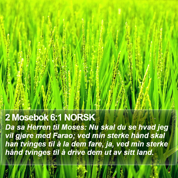 2 Mosebok 6:1 NORSK Bible Study