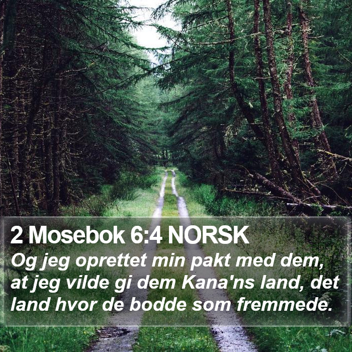 2 Mosebok 6:4 NORSK Bible Study