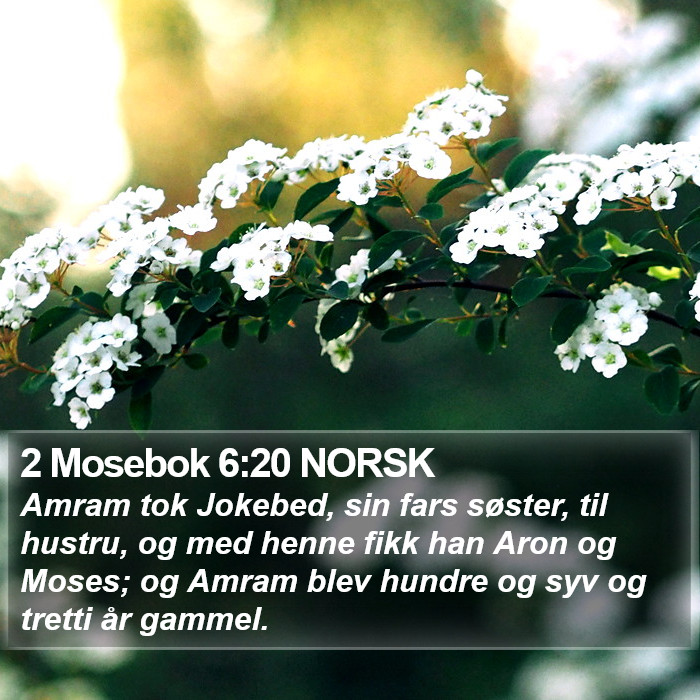 2 Mosebok 6:20 NORSK Bible Study