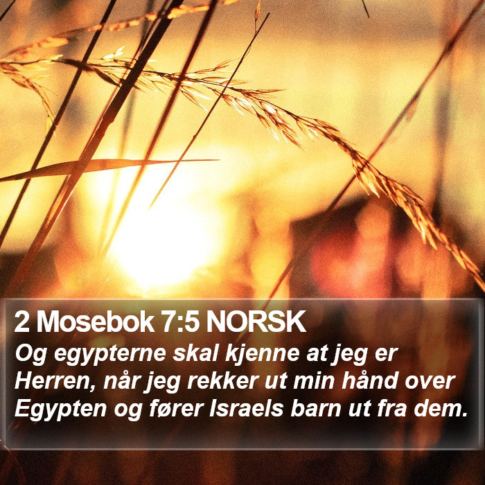 2 Mosebok 7:5 NORSK Bible Study
