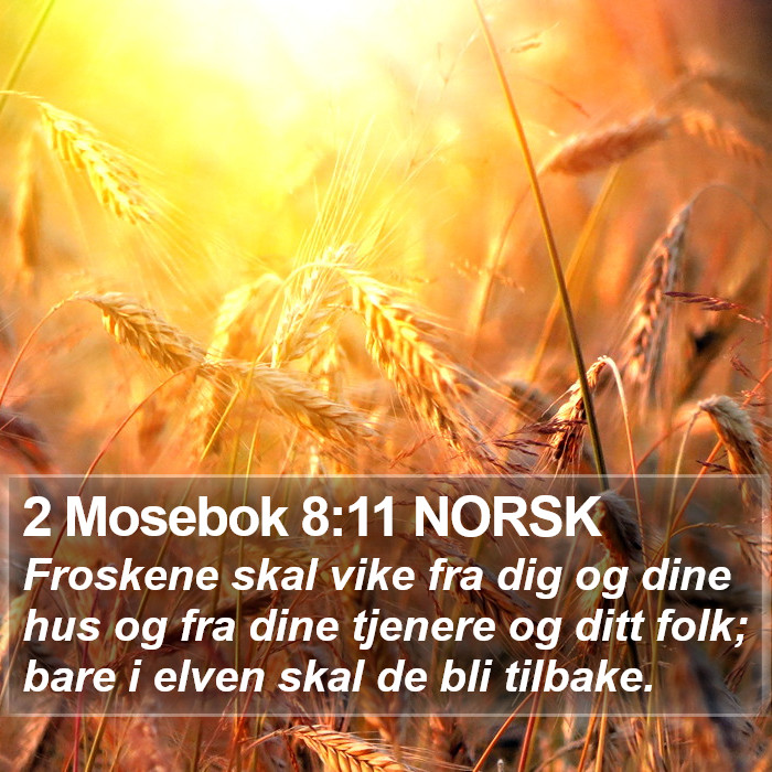 2 Mosebok 8:11 NORSK Bible Study