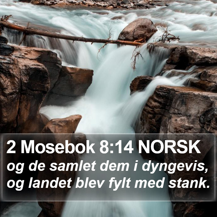 2 Mosebok 8:14 NORSK Bible Study