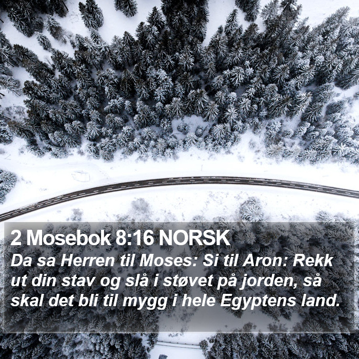 2 Mosebok 8:16 NORSK Bible Study