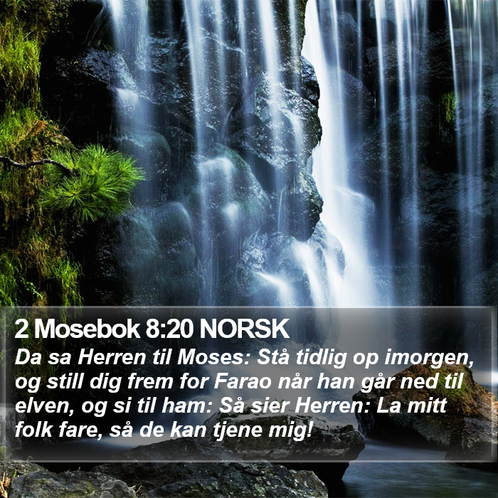 2 Mosebok 8:20 NORSK Bible Study